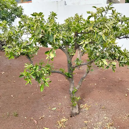 La Casita Σπίτι διακοπών